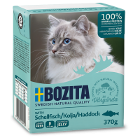 Bozita