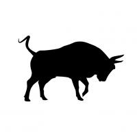 Ochse + Büffel