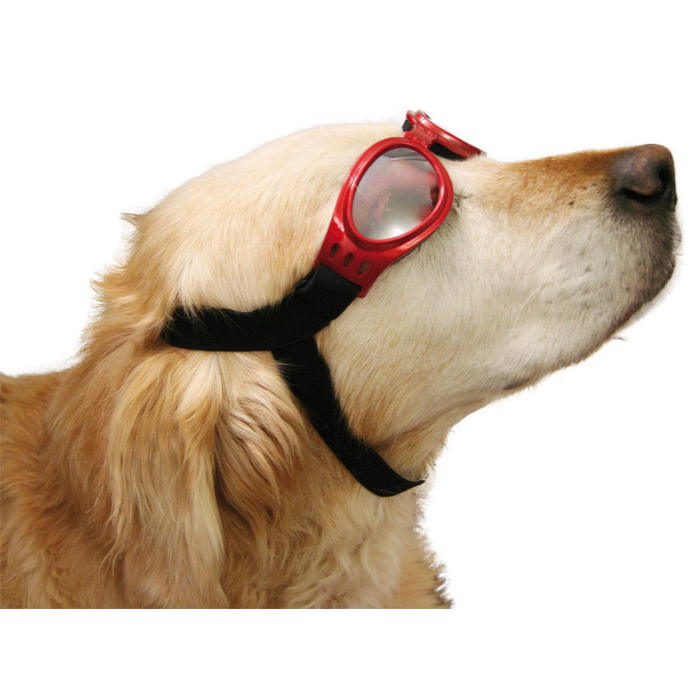 Cabrio- & Schneebrille für Hunde