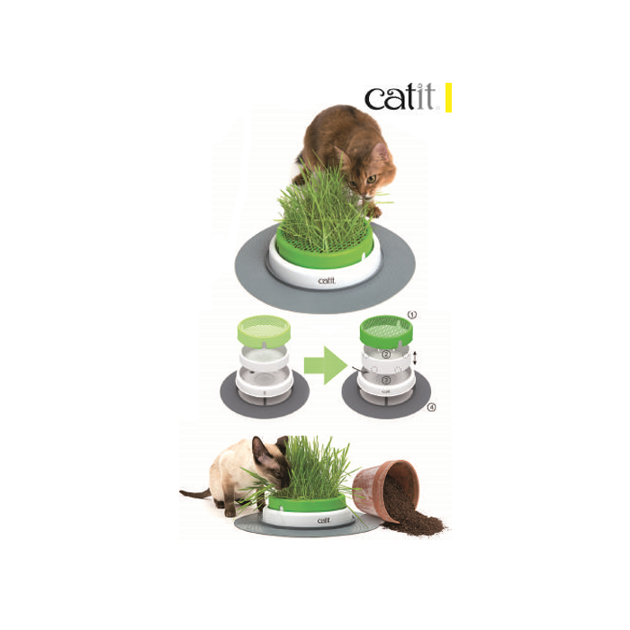 Catit Senses 2.0 Grass Planter