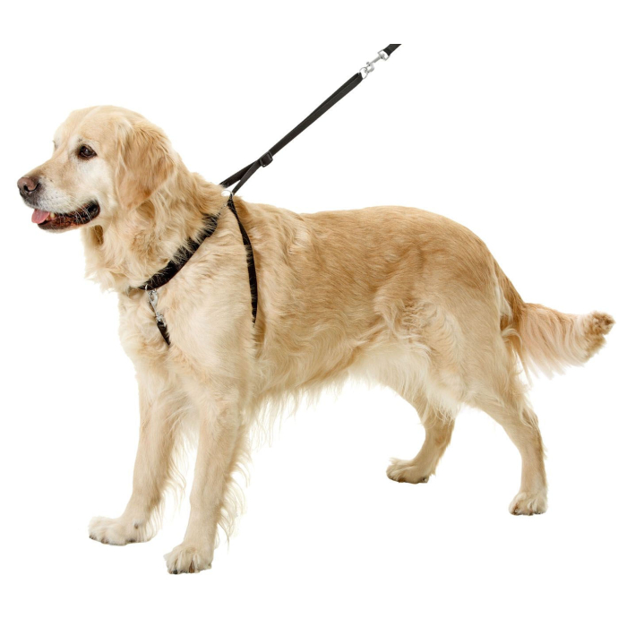 Erziehungshilfe Easy Walker