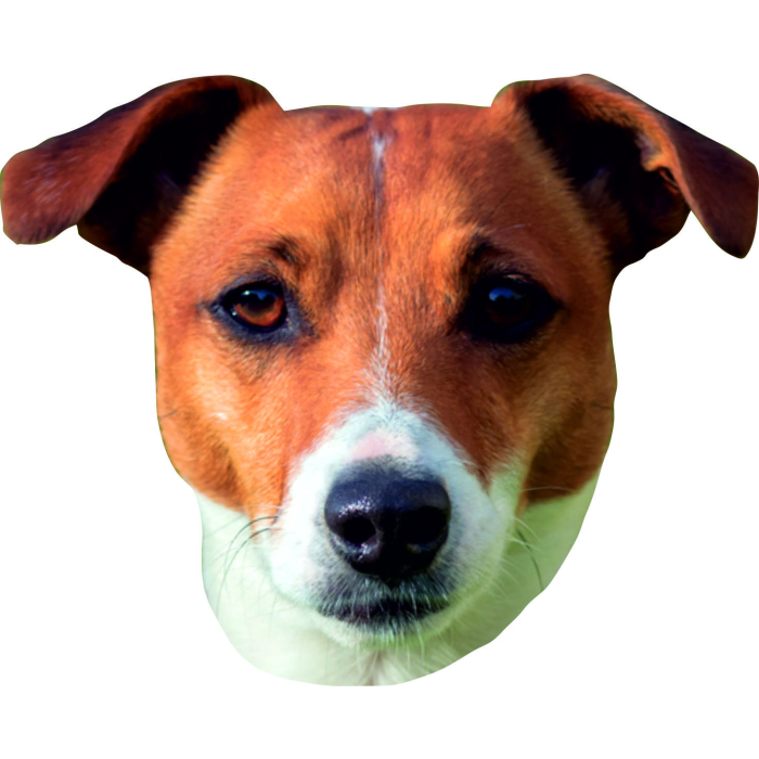 Jack Russell Terrier Aufkleber, "petcenter.ch-Edition" - 2 Stück