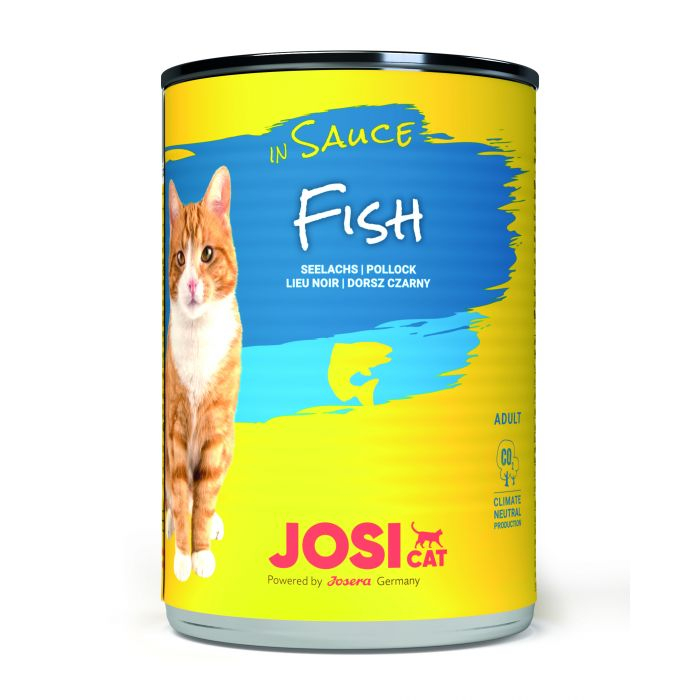 JosiCat Fish in Sauce