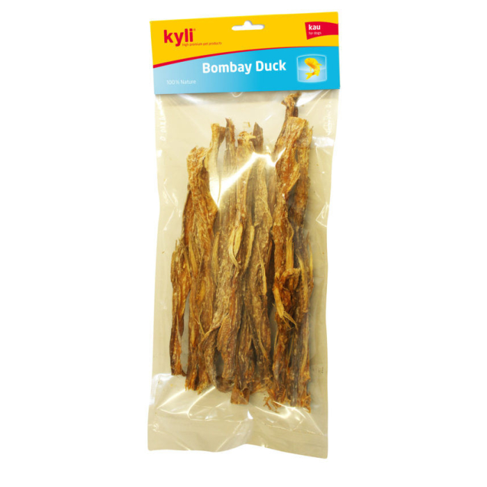 kyli Bombay Duck Eidechsenfische