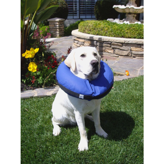 PAD ZenCollar Halskragen für Hunde