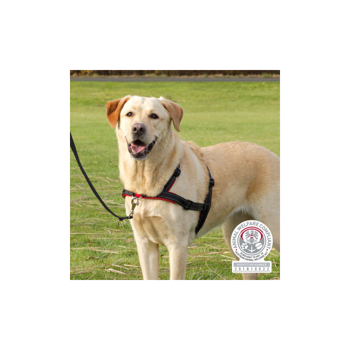 Trainingsgeschirr Lead'n'Walk Soft