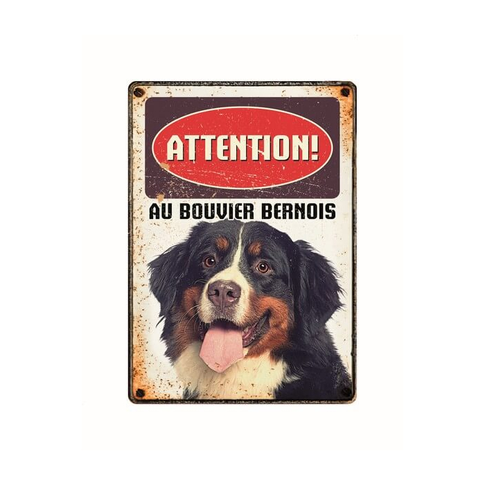 Warnschild "Attention au Bouvier Bernois", 21x15cm