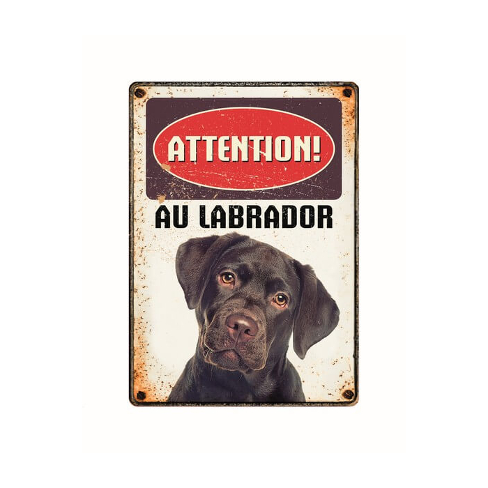 Warnschild "Attention au Labrador", 21x15cm