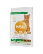 IAMS Adult Lamb - 10 kg