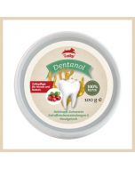 Leiky Dentanol 100g | Zahnpflege für Hunde und Katzen