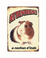 Warnschild "Attention au Cochon D'Inde", 21x15cm