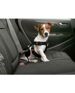 Auto-Zubehör für die Reise mit Hund  Alunetz, Schutzgitter, Schutzdecken &  Co