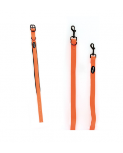 TrendLine NEON Halsband und Führleine, orange