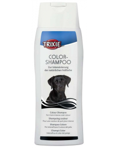 Color-Shampoo, schwarz - 250 ml