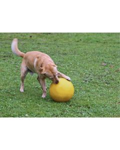 Kerbl Hundespielball aus Kunststoff, gelb, 30cm