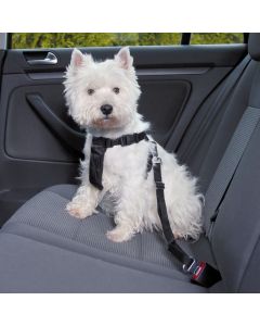 Auto-Zubehör für die Reise mit Hund