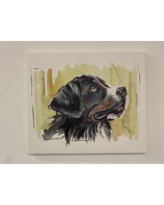 "Berner Sennenhund" Aquarell-Druck auf Leinwand, 60x50cm