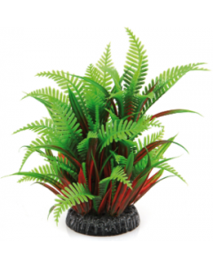 DE Amazonas Fantasy Plant QL grün-rot - 20cm