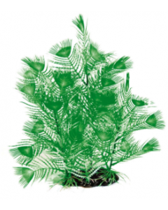 DE Amazonas Fantasy Plant AL grün - 20cm