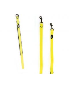 DE TrendLine Neon Halsband und Führleine, gelb