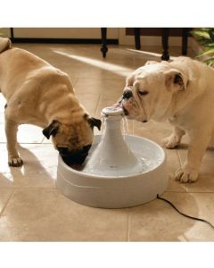 Drinkwell Kunststoff-Trinkbrunnen 360 für Hunde und Katzen