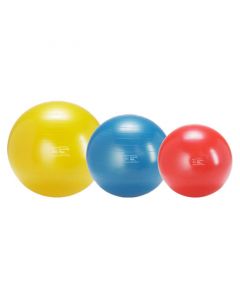 SH Gymnic Plus Physioball/Treibball | Für Hundesport