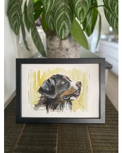 "Berner Sennenhund" Aquarell-Druck auf Papier, 20x30cm