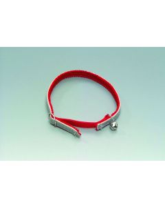 Katzenhalsband, reflektierend, rot - 12 mm / 33 cm