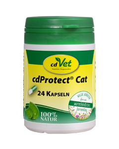 cdProtect Cat Kapseln | Ergänzungsfuttermittel für Katzen