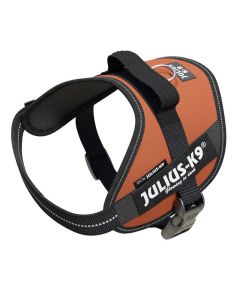 Julius-K9 IDC-Powergeschirr mit Logofeld - Kupferorange | Für Hunde