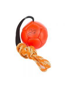 Julius-K9 Schautraining Ball, orange | Für Hunde