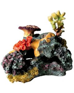 Korallenriff - 32 cm