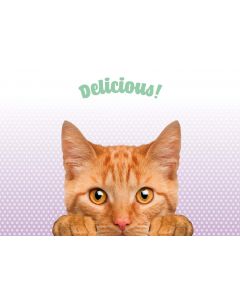 Napfunterlage "Delicious" mit oranger Katze
