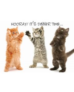 Napfunterlage "Hooray! Dinner Time" mit 3 Kitten
