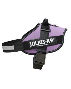 Julius-K9 IDC-Powergeschirr mit Logofeld - lila | Für Hunde