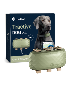 Tractive GPS DOG XL - Grün |  | GPS Tracker für Hunde