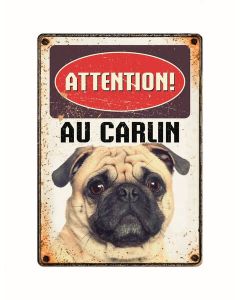 Warnschild "Attention au Carlin", 21x15cm
