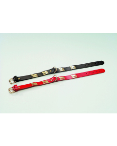 Sennenhund-Halsband