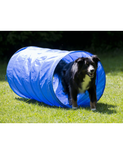 PY Petcenter Tunnel 152cm