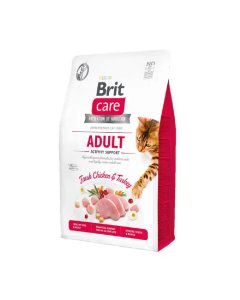 Brit Care Cat - Adult - Activity Support 