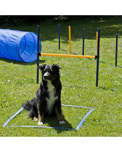 PY XXL Agility Set - 1 Tunnel 60x152 cm, 8 Slalomstangen, 2 Sprünge, 1 Boxband 