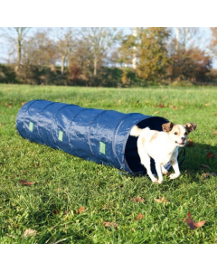 Agility Tunnel, blau 