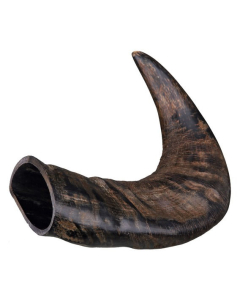 Kauhorn mittel und gross