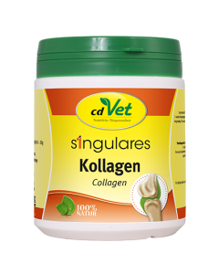 cdVet Singulares Kollagen | für Hunde, Katzen und Kleinpferde