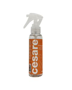 DE cesare Duftspray Energy 100ml