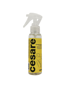 DE cesare Duftspray Vanille 100ml