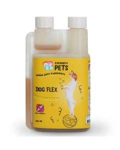 HO Dog Flex | Für Gelenke, Sehnen und Knochen