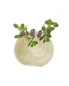 eat small Cocos Choice Natural pro.