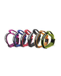 Julius-K9 Halsband Color+Gray, mit Haltegriff, 5cmx49-70cm | Für Hunde