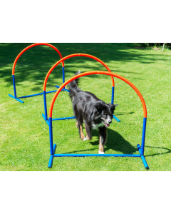 PY Petcenter Hooper